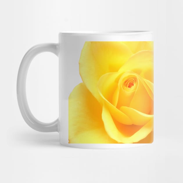 Yellow rose by goldyart